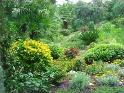 On peut classer les végétaux, très simplement, selon leur taille. Ainsi sont définis des étagements ou strates. Combien y en a-t-il ?