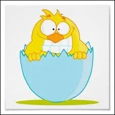 Que sont  les oeufs Brayons  ?