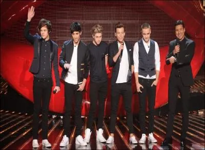 L'mission qui a rvl les One Direction...