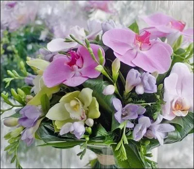 Que sont les fleurs que Clémentine64 nous apporte ?