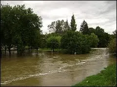 Le Suran ( ou Surand ) est une rivire des dpartements du Jura ( 39 ) et de l'Ain ( 01 ). Elle traverse donc les rgions ...