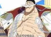 Quiz One Piece : Barbe blanche et son quipage