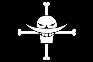 De combien de divisions est compos son quipage ?