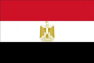 Quel tat possde ce drapeau ?