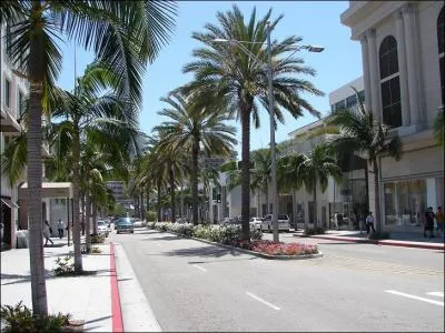 Pretty Woman et les Totally Spies ont fait du shopping dans ses boutiques de luxe...