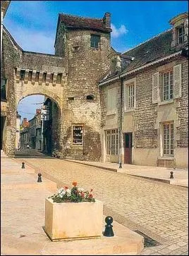 Quelle est cette station thermale de la Vienne, rpute pour ses effets bnfiques pour la peau, dont les eaux sont riches en slnium ?