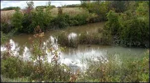 La Bourbre, qui arrose les dpartements de l'Isre et du Rhne, est un affluent ...