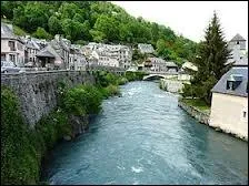 Dans quel dpartement Pyrnens le Neste prend-elle sa source ?