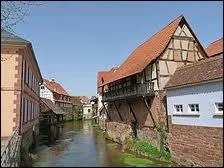 La Sauer est une rivire Franco-Allemande. Dans lequel de ces pays prend-elle sa source ?