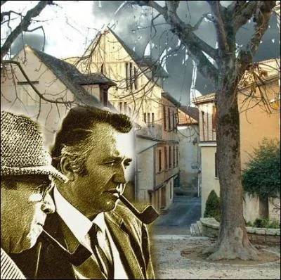 Compltez le titre de ce roman policier de Georges Simenon de la srie des enqutes du commissaire Maigret : le Fou de ... .