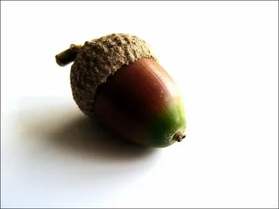 Trouvez le film se rapportant  cet indice.