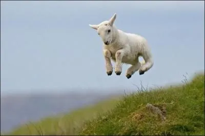 Ca risque fort de mal se finir pour l'un des deux !