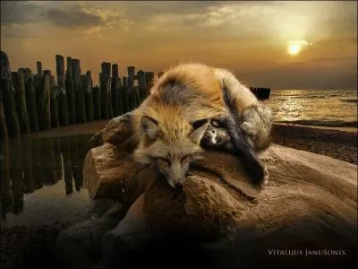 De cette question, il n'y a vraiment pas de quoi en faire tout un fromage !