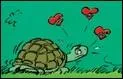 Comment s'appelle cette petite tortue amoureuse de Bill ?