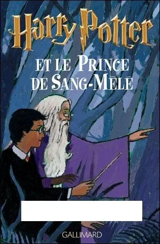 Qui est l'auteur de la suite romanesque fantastique  Harry Potter  ?
