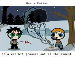 Cette scne a lieu dans HP7...