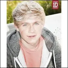 Quel est le nom de famille de Niall ?