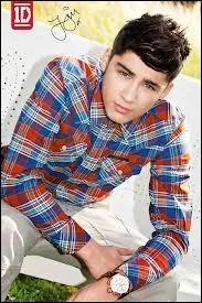 Quel est le nom de famille de Zayn ?