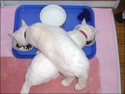 Pourquoi faire simple, quand on peut faire ...