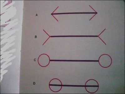 Voyons un peu. Regardez bien chacune de ces 4 figures qui renferme un trait rouge. Quel est le plus long ? Quel est le plus court ?
