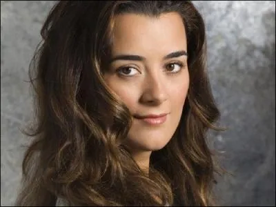 Quel acteur joue Ziva David ?