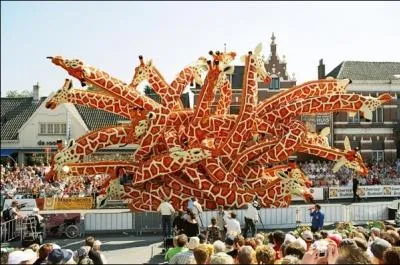 Combien comptez-vous de vertbres sur cette photo ?