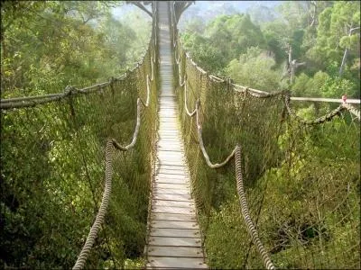 Monsieur Brave va maintenant traverser un petit pont trs inquitant et instable. Il n'a donc pas de :