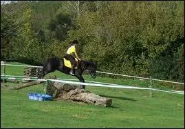 Que signifie T. R. E. C ?