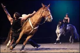 Quelle est cette discipline questre ?