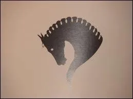 Quelles sont les trois preuves du concours complet d'quitation ?