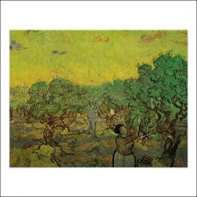 Qui a peint La rcolte des olives ?