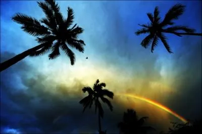 Combien de couleurs y a-t-il dans un arc-en-ciel ?