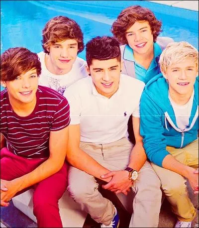 Lequel collectionne les tortues ?