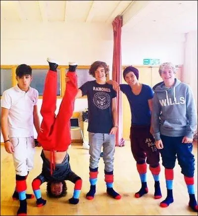 Lequel d'entre-eux est tte-en-l'air et,  un concert, a tenu son micro a l'envers ?