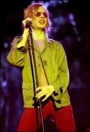 Qui chantait  Soy un perdedor. I'm a loser baby, so why don't you kill me...   en 1994 ?