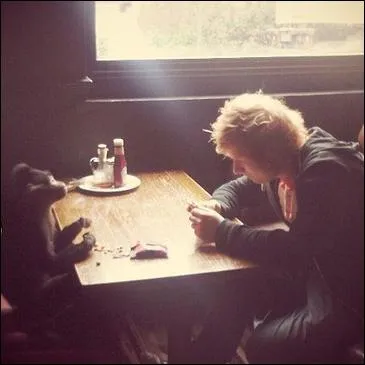 Sur cette drle de photo, vous pouvez voir un jeune chanteur anglais en pleine partie de cartes avec un chimpanz ! Petit indice : il se fait connatre en 2012 avec son tube 'The A team'. Qui est-il ?