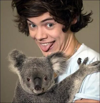 Au cours d'un voyage, les chanteurs britanniques du boys band One Direction ont eu la chance incroyable de poser avec ce koala tout mimi ! Mais dans quel pays tait-ce ?