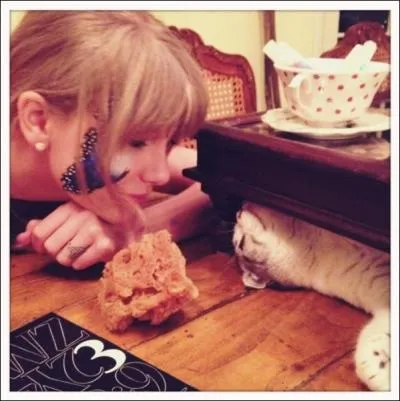 Une autre jeune star de la chanson amricaine a un jour tweet cette photo, sur laquelle on peut la voir changer un regard trs complice avec son chat, Meredith. La connaissez-vous ?