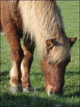 Combien de temps passe-t-il  manger en moyenne ?