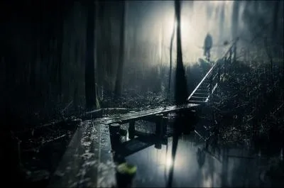 Quel est le nom de cette photographie ?