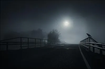 Quel est le nom de cette photographie ?