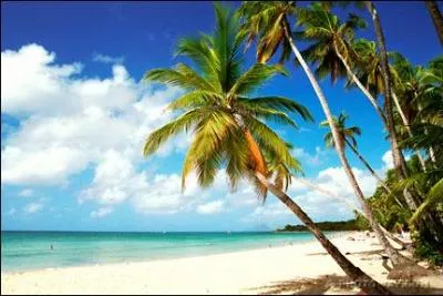 Quelle est la prfecture de la Martinique ?