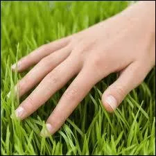 Vous posez votre main sur la sienne, il-elle est touch-e, mais pour qu'il-elle soit  touch-e , il faut... ?