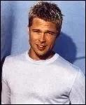 Dans quel  art  de la  touche  Brad Pitt excelle-t-il au cinma ?