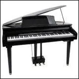 Des instruments de musique ont des touches, comme le piano, l'accordon mais aussi le violon ou la guitare (pour toucher les cordes)... Combien de touches sur un piano ?