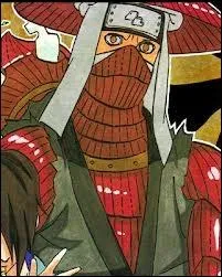 De quel dmon  queue Han tait-il le Jinchuriki ?