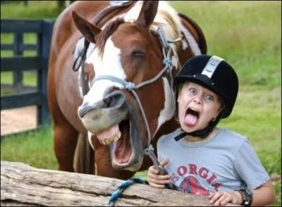 Du rire d'un sergent, il a fait une chanson !