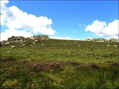L'aligot est le plat incontournable :