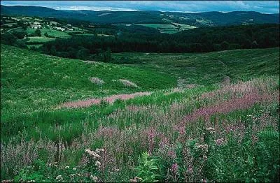 Quel est le point culminant du Morvan ?
