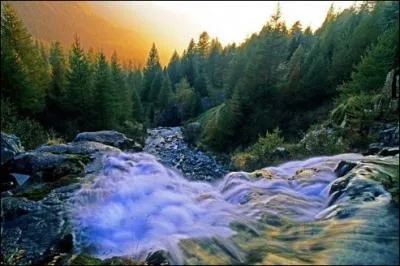 Que pouvez-vous voir dans la Valle des Merveilles ?